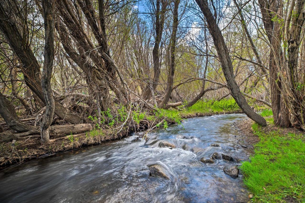 Mammoth Lakes Nature Escape Hot Tub Access! 외부 사진